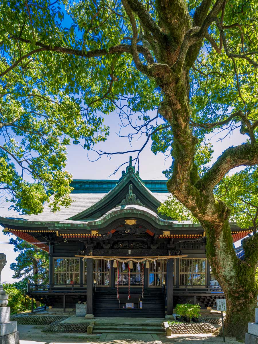 由緒・由縁